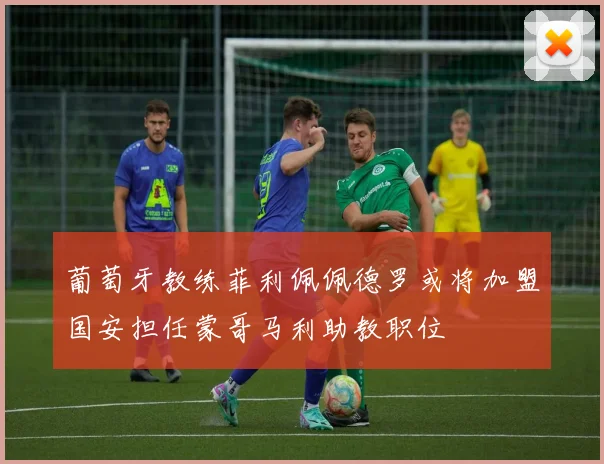 葡萄牙教练菲利佩佩德罗或将加盟国安担任蒙哥马利助教职位