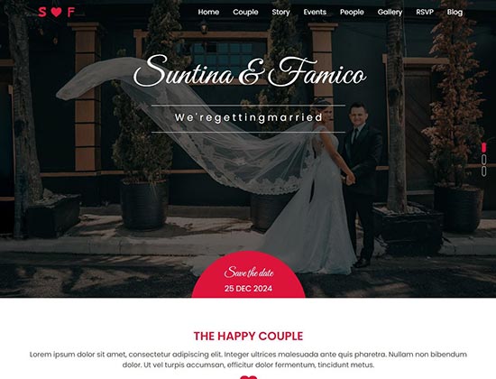 案例展示三